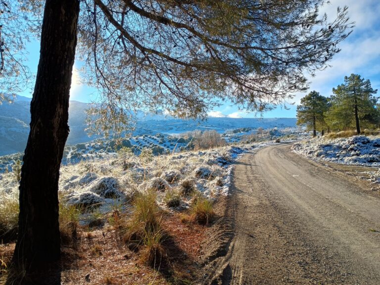 Camino de tierra con escarcha y vistas a Sierra Nevada