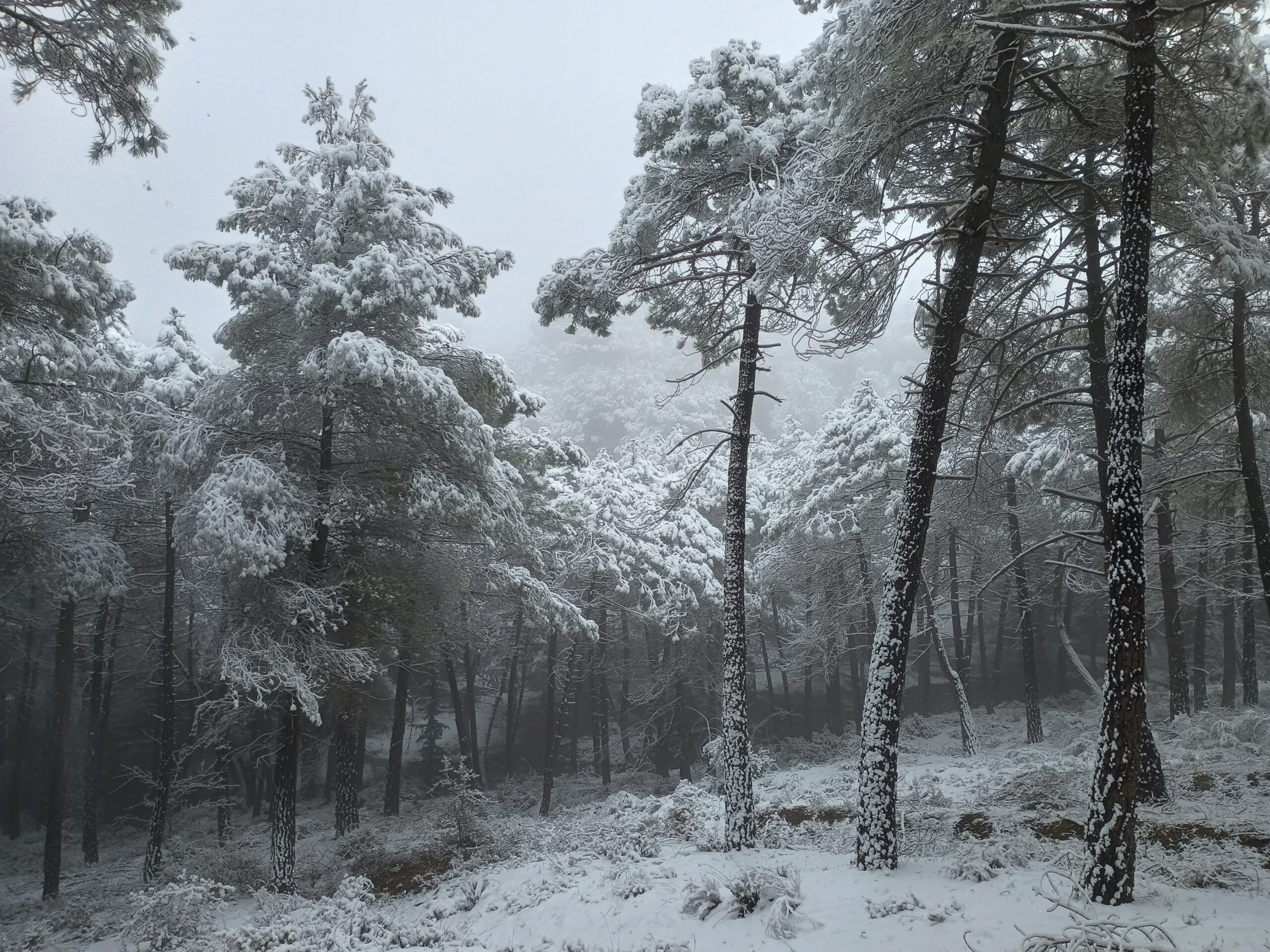Naturaleza y tranquilidad en el entorno de Instituto Vúskeda