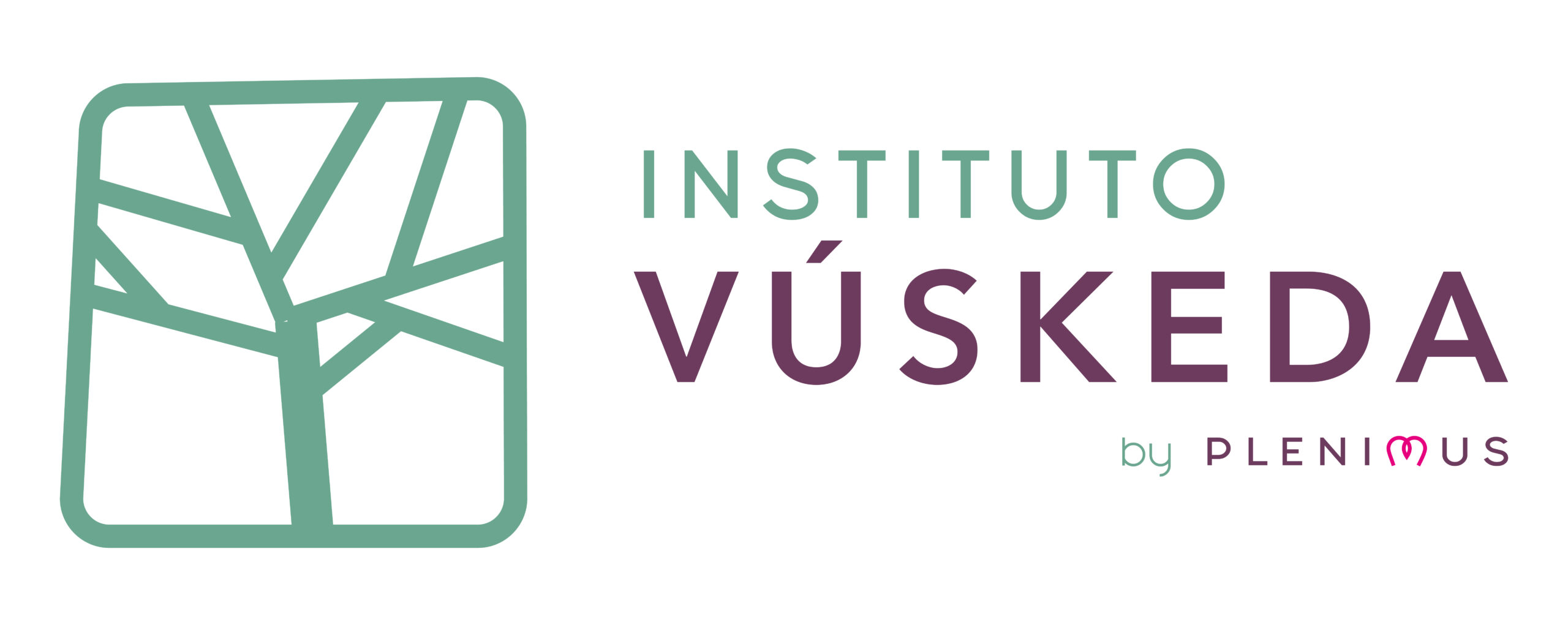Instituto Vúskeda by Plenimus